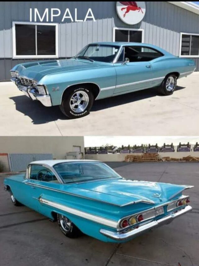 Impala's